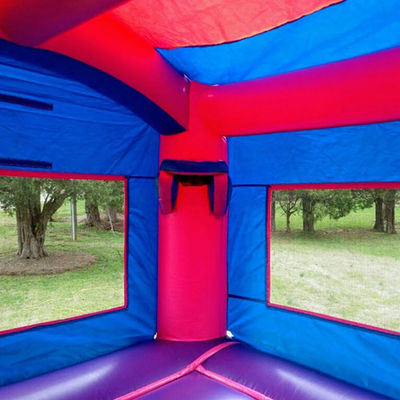 Parco giochi all'aria aperta Inflatabile Frozen Bouncy Castle con scivolo Commercial Grade Durable