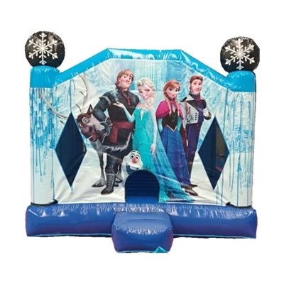 Unisex castello gonfiabile congelato casa del buttafuori con colori opzionali