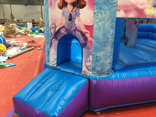 Hot Princess Party Castello a balzo con scivolo PVC attrezzature per il parco giochi commerciale