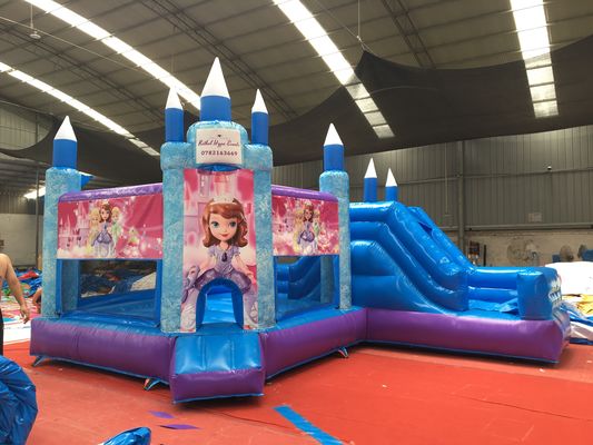 Hot Princess Party Castello a balzo con scivolo PVC attrezzature per il parco giochi commerciale