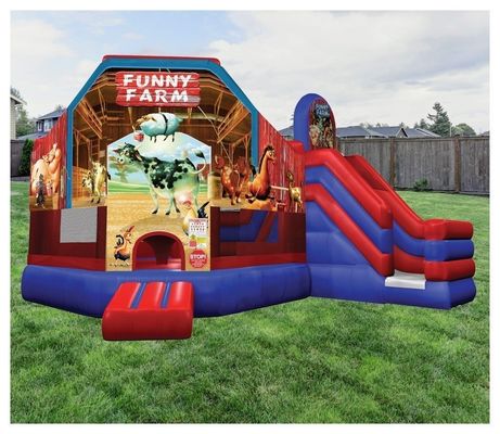 Caratteristiche PORTABLE Carousel gigante Castello a rimbalzo Combo Slide con colore personalizzato