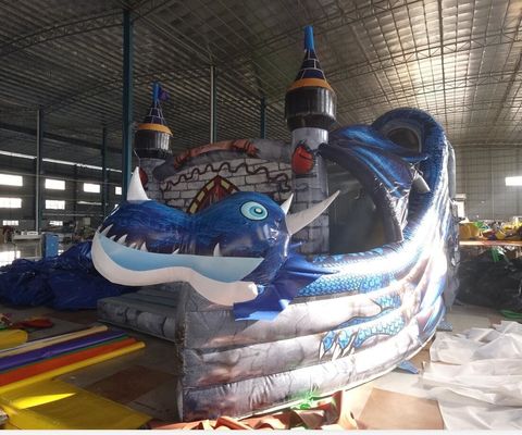 Amusement Inflatable Kids Activity Center con castello personalizzabile e casa rimbalzante