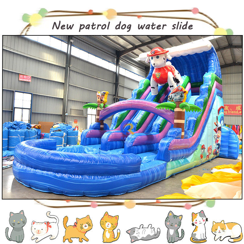 Divertite i bambini con 3D Paw-Patrols Slide d'acqua gonfiabile e piscina Design a doppia corsia