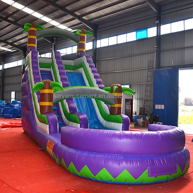 5 - 10 passeggeri Capacità 29 piedi Slide idraulico gonfiabile con piscina CE/EN71/EN14960 Omologato