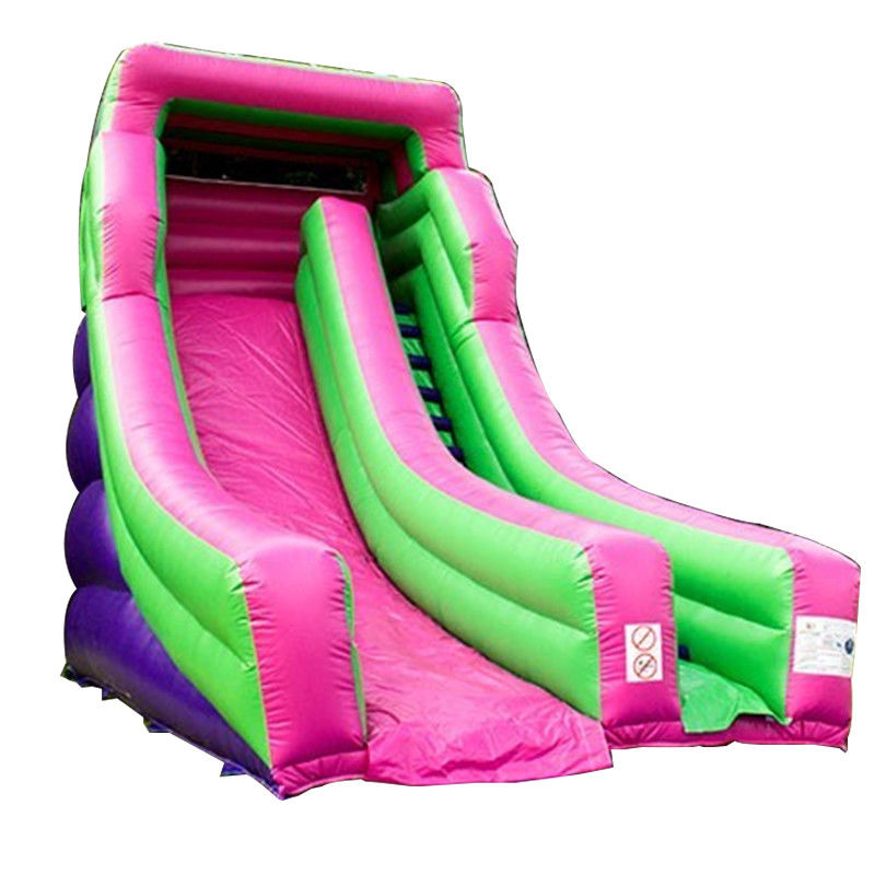 Grande scivolo gonfiabile a secco in colore personalizzato per occasioni commerciali al parco acquatico