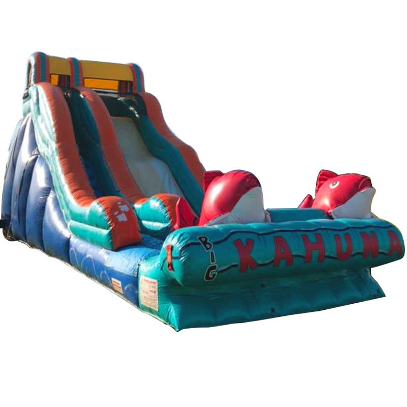 0.55mm PVC Tarpaulin Red Carp Tematica Slide d'acqua gonfiabile con scivolo largo e scivolo