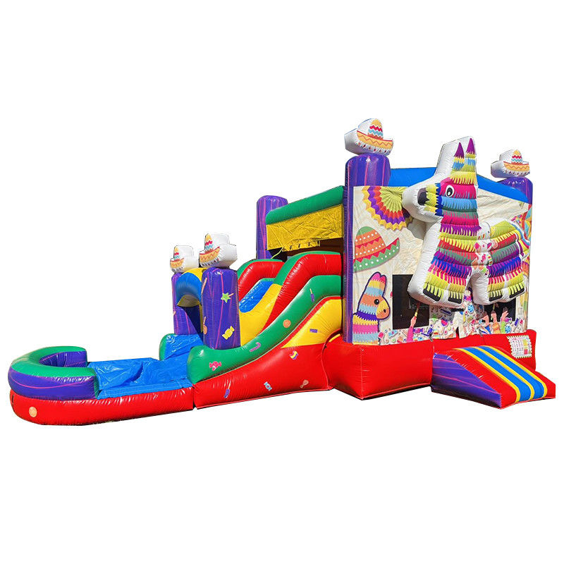 PORTABLE PVC Rainbow Puppy Casa gonfiabile con scivolo Combo Pool Jumpers Castello