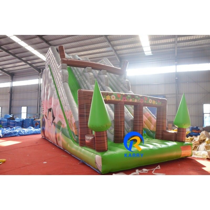 Evento Parco acquatico Slide gonfiabile per bambini e adulti dimensioni opzionali 9 * 4.5